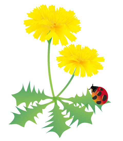 社会福祉法人　時津野田福祉会　時津野田保育園